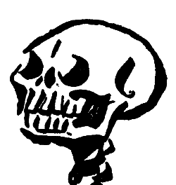 Skull